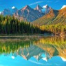 Java 8最快的垃圾搜集器是什么?