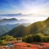 Java 8最快的垃圾搜集器是什么?